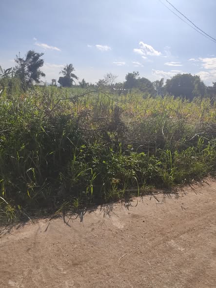 Đất thổ cư chính chủ Tổ 1, Phường Ngô Mây, 175m² giá chỉ 280 triệu - Cơ hội đầu tư sinh lời!