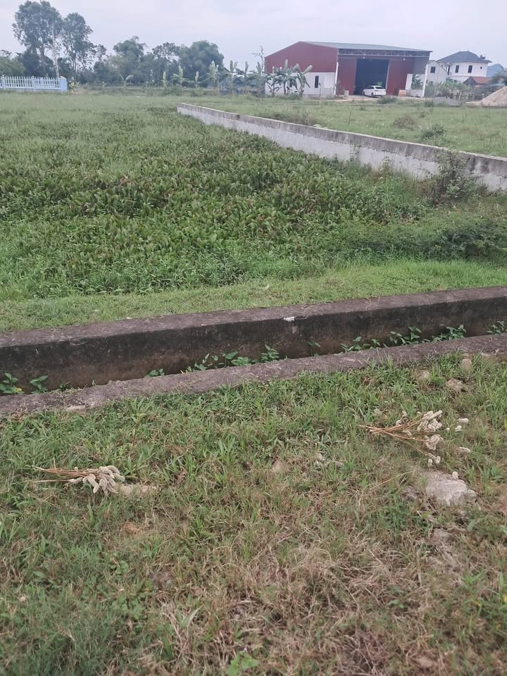 Đất nền Thọ Diên 60000m² giá 700 triệu - Sổ đỏ chính chủ, vị trí đẹp!