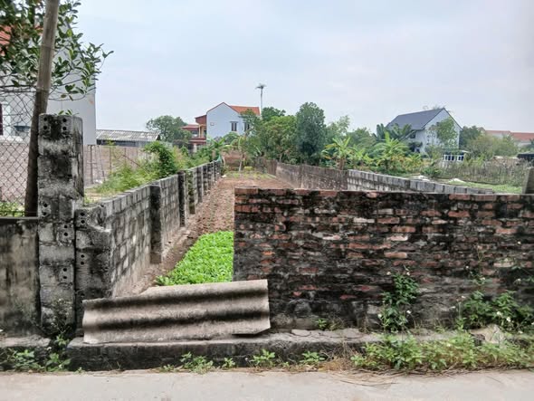 Đất nền 140m² tại Lương Bằng, Hưng Yên - Giá tốt cho đầu tư thông minh!