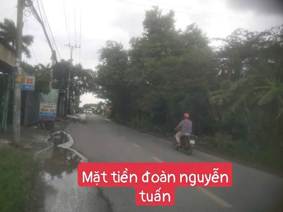 Đất vườn mặt tiền Đoàn Nguyễn Tuấn, Cần Giuộc 1986m² giá chỉ 17.5 tỷ - Cơ hội đầu tư tuyệt vời!