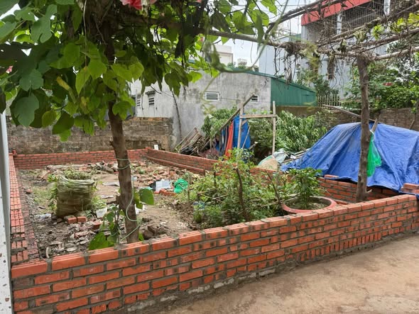 Đất nền Uy Nỗ, Đông Anh 40,8m² giá 3 tỷ - Đầu tư sinh lời ngay!