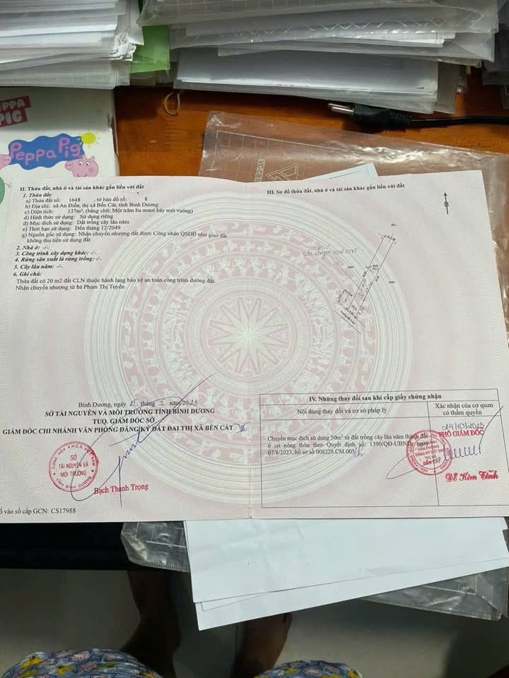 Đất nền An Điền 100m² giá 700 triệu - Cơ hội đầu tư hiếm có!