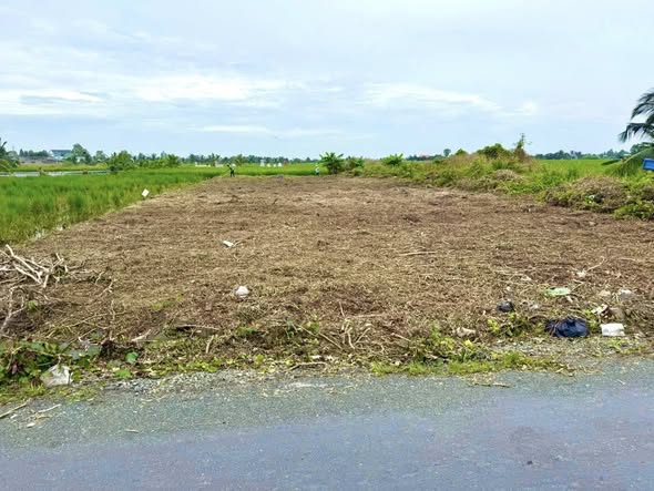 Đất nền Tân Quang 2, Cần Giuộc 766m² giá chỉ 3.85 tỷ - Cơ hội đầu tư tuyệt vời!