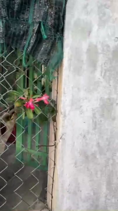 Đất nền Hòa Kiến Tuy Hòa 600m² giá 750 triệu - Cơ hội đầu tư hấp dẫn!