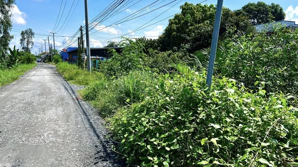 Đất vườn 991m² tại Ấp Tân Qúi, Long An - Vị trí đắc địa, giá chỉ 4 tỷ!