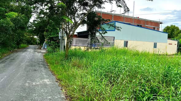 Đất nền 186m² tại Ấp Trung, xã Đông Thạnh, Cần Giuộc - Giá chỉ 1.5 tỷ, sổ đỏ chính chủ!