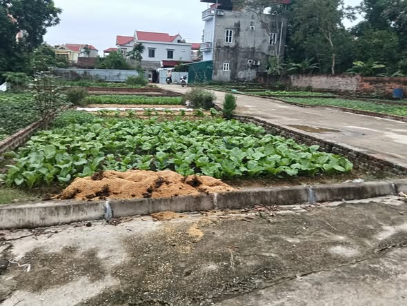 Đất nền 88m² Đa Phúc, Sóc Sơn chỉ 2 tỷ - Tiềm năng sinh lời cao!