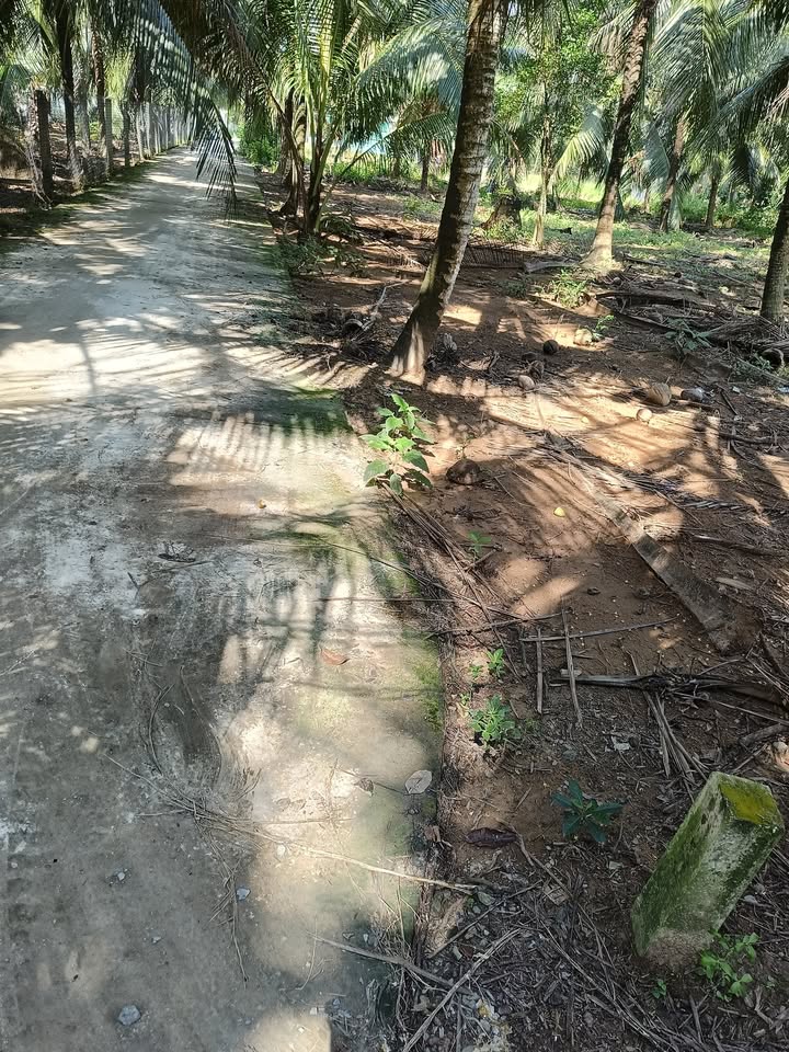 Đất nền đẹp Lộc Thuận Vĩnh Long 5851m² giá 6.87 tỷ - Tiềm năng đầu tư lớn!