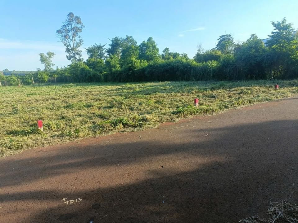 Đất nền thổ cư tại thôn Tân Bình, Châu Đức, 317m² giá 670 triệu - Sổ đỏ chính chủ!