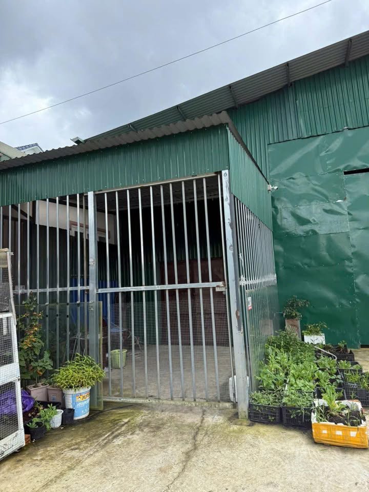 Cho thuê kho 120m² đường Trần Đại Nghĩa, Đà Lạt - Giá chỉ 6 triệu/tháng!