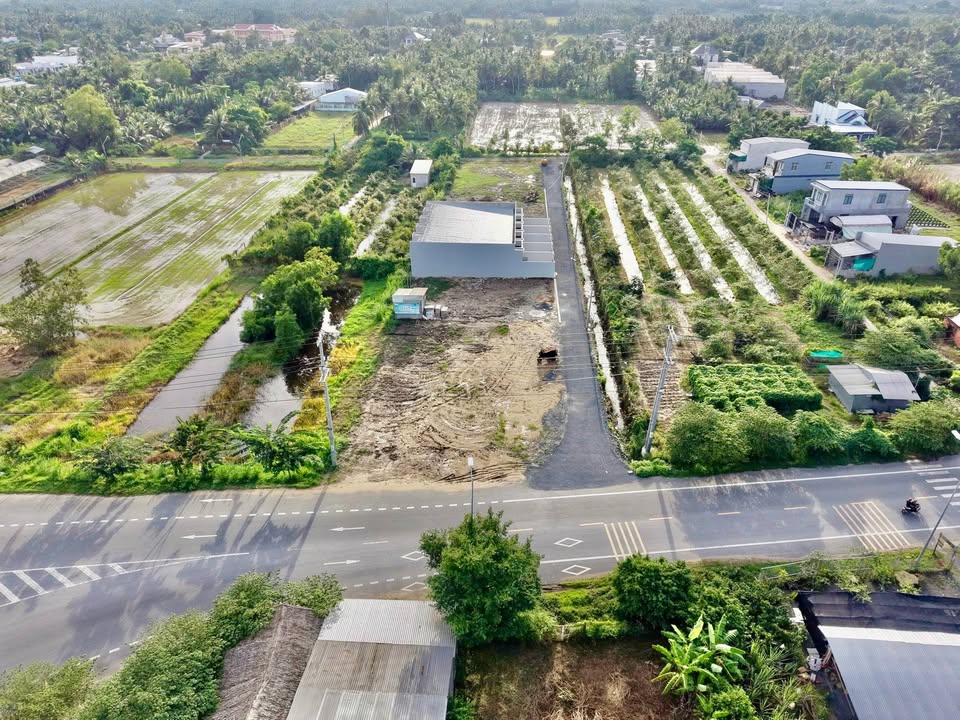 Đất thổ cư 175m² mặt tiền Nguyễn Tấn Liềng chỉ 1.2 tỷ - Đầu tư sinh lời ngay!