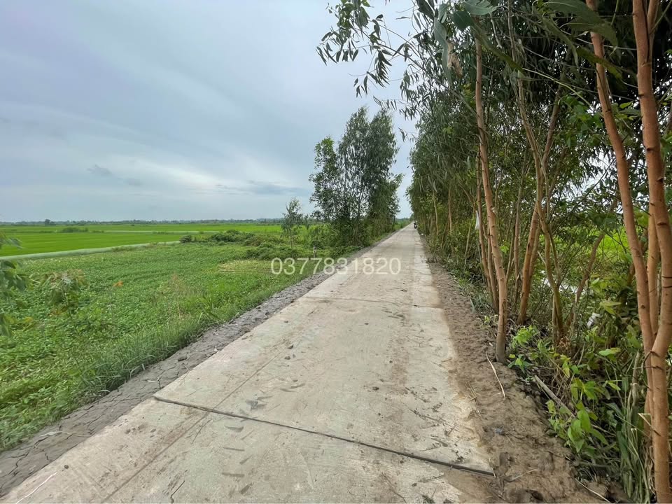 Đất mặt tiền Điện Lực Châu Thành 1104m² giá 570 triệu - Sổ hồng chính chủ