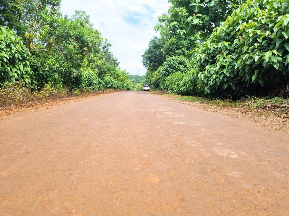 Đất nền hai mặt đường QL 29, Ea Kiết, 1080m² chỉ 680 triệu - Cơ hội đầu tư hấp dẫn!