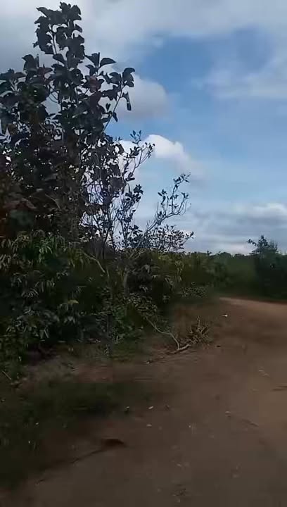 Đất nền Cư M'gar Đắk Lắk 20.000m² giá 600 triệu - Cơ hội đầu tư tốt!