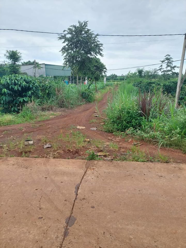 Đất nền Cư M'gar 2100m² mặt tiền đường Eamroh - Cơ hội đầu tư sinh lời!