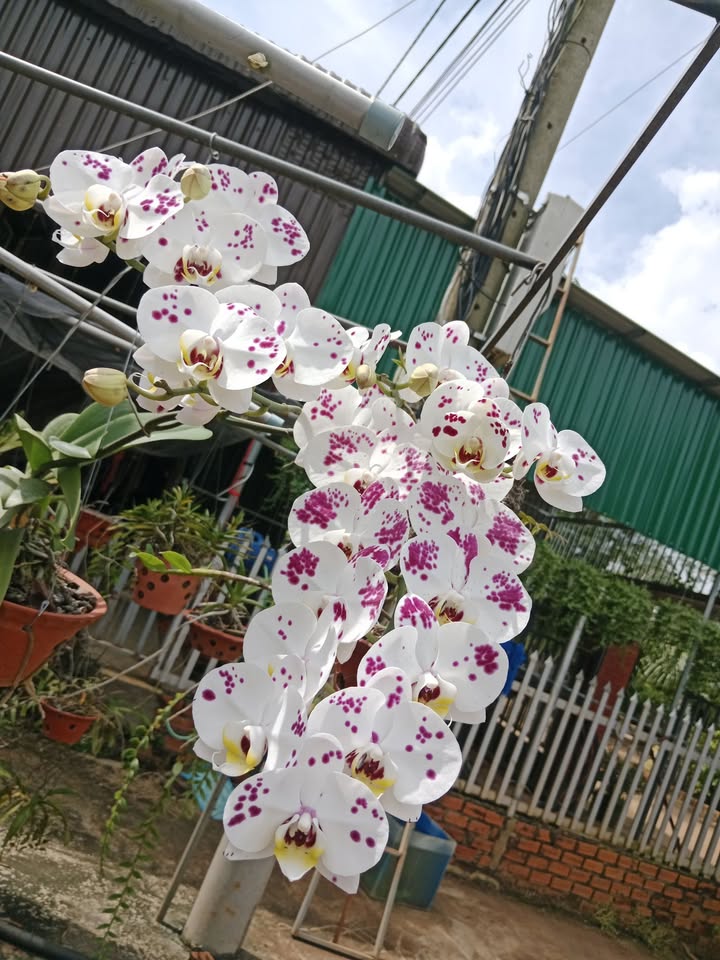 Đất nền 200m² tại thị trấn Ea Pốk, Cư M'gar - Giá thỏa thuận, vị trí gần trường học!