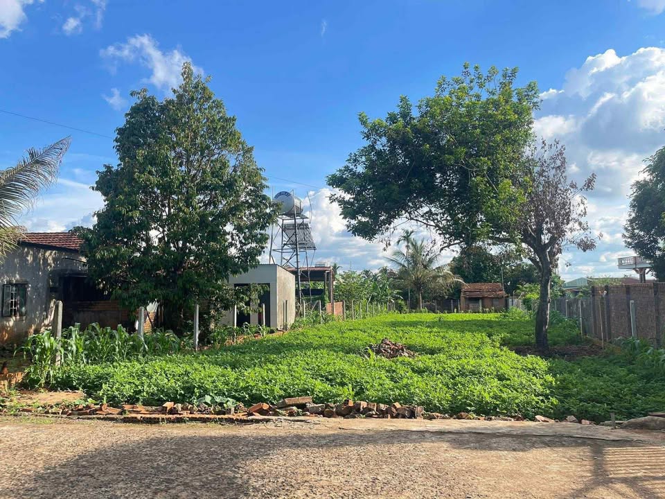 Đất thổ cư 624m² tại Cư M'gar, giá chỉ 1.65 tỷ - Cơ hội đầu tư hiếm có!