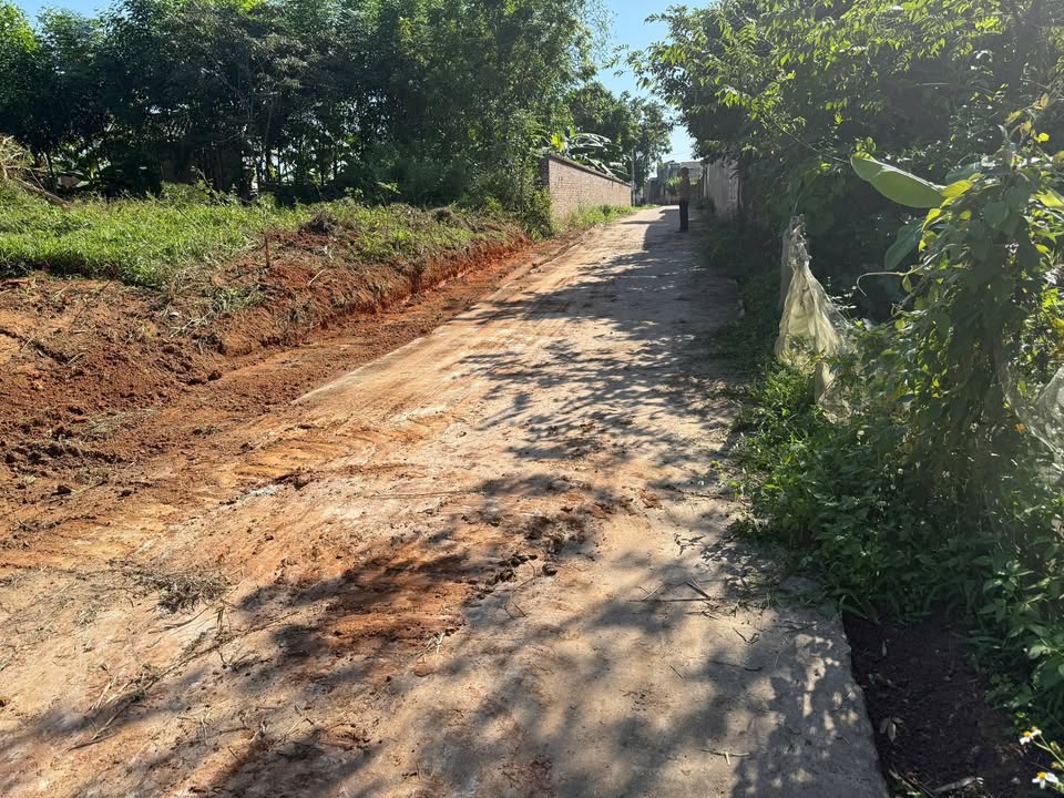 Đất nền Tân Yên Bắc Giang 100m² giá chỉ 400 triệu - Cơ hội đầu tư hấp dẫn!