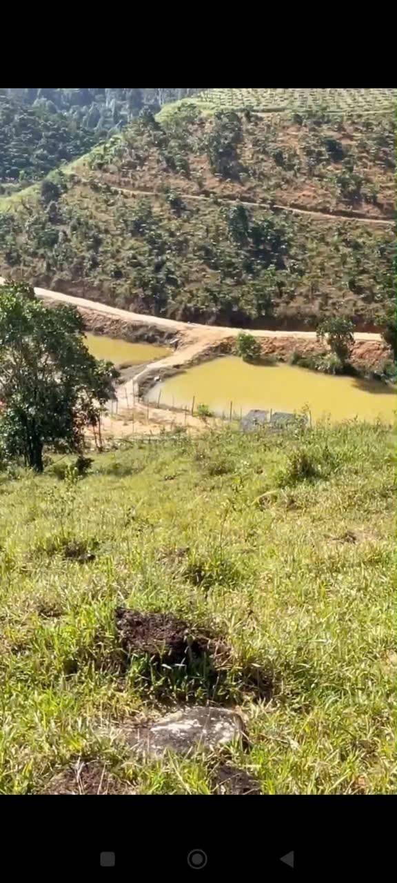 Đất trống 3,9ha tại Lộc Tân - Giá chỉ 60 triệu/năm, cho thuê dài hạn!