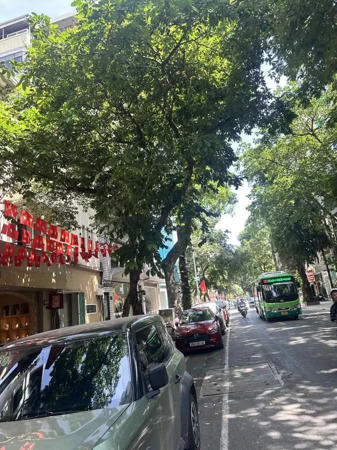 Bán đất tặng nhà mặt phố Ngô Thì Nhậm, Hai Bà Trưng 240m² - Vị trí kinh doanh đắc địa!