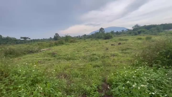 Đất nền Bảo Quang, Long Khánh 1800m² giá 640 triệu - Pháp lý rõ ràng, thích hợp phân lô!