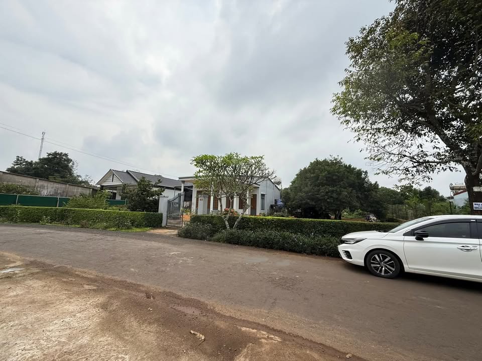 Đất thổ cư mặt tiền Bùi Thiện Ngộ, 50m² giá 3 tỷ - Cơ hội đầu tư không thể bỏ lỡ!