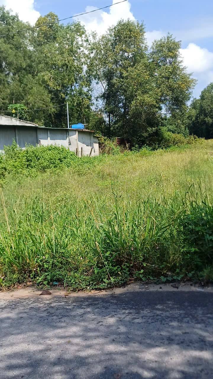 Đất nền mặt tiền đường Bến Đình, Củ Chi 7200m² giá 23.76 tỷ - Phù hợp làm kho, xưởng