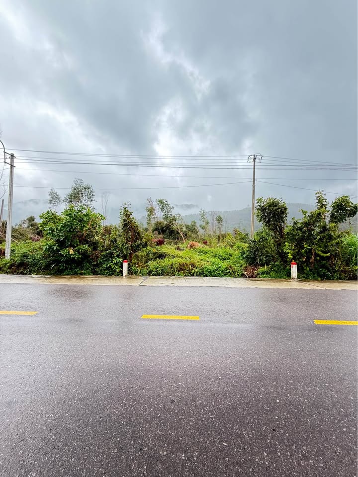 Đất trồng cây Canh Hòa Vân Canh 2000m² giá 400 triệu - Sổ đỏ chính chủ!