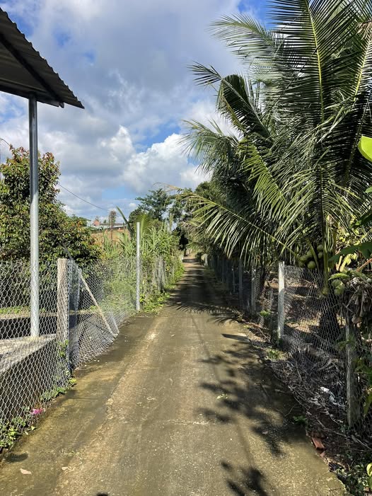 Đất Kim Long Châu Đức 1000m² - Cơ hội đầu tư lý tưởng!