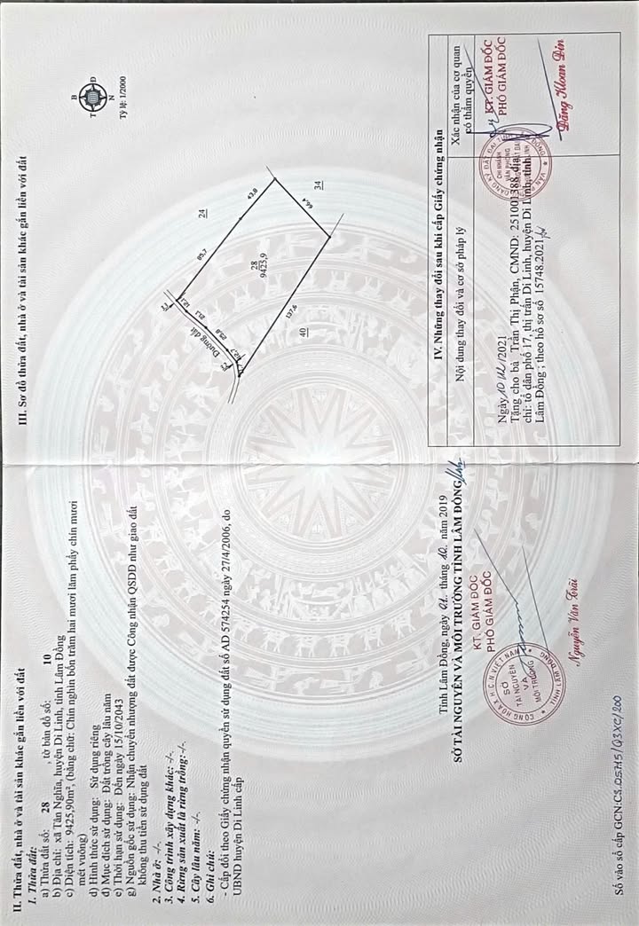 Đất nền Tân Nghĩa, Di Linh 12,000m² - Đầu tư sinh lời hấp dẫn!