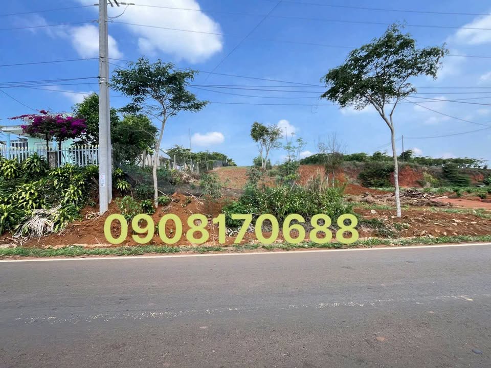 Đất Bảo Lộc 1100m² giá 2.8 tỷ - Đầu tư sinh lời với 2 mặt tiền!