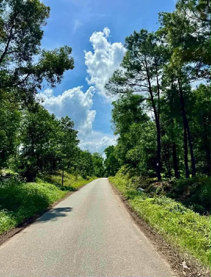 Bán lô đất Farm 1000m² tại Châu Chữ - Thủy Bằng - TP Huế - Giá chỉ 3.85 tỷ!