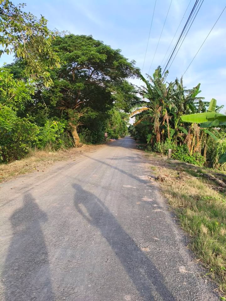 Đất nền 12.000m² đường Trường Tiền, Thoại Sơn - Giá mềm, cơ hội đầu tư tuyệt vời!