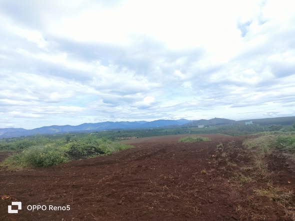 Đất nền 9,8ha xã Ia Pếch, Gia Lai giá chỉ 12.5 tỷ - Đầu tư sinh lời hấp dẫn!