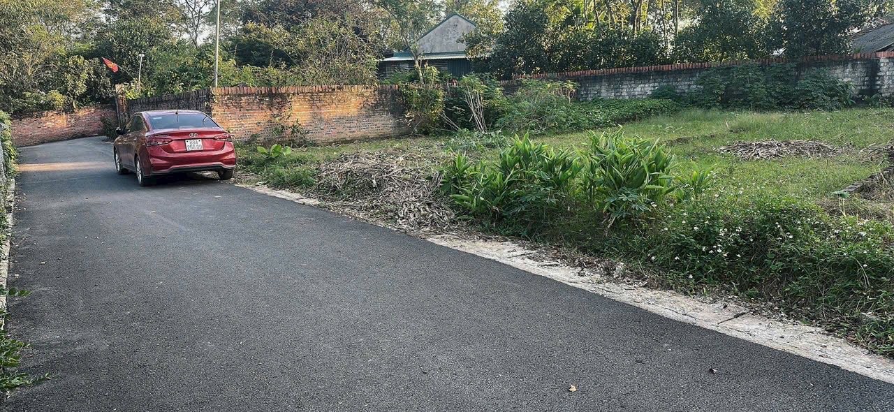 Đất nền 101m² Thôn Quang Trung, Tam Dương chỉ 600 triệu - Đầu tư sinh lời!