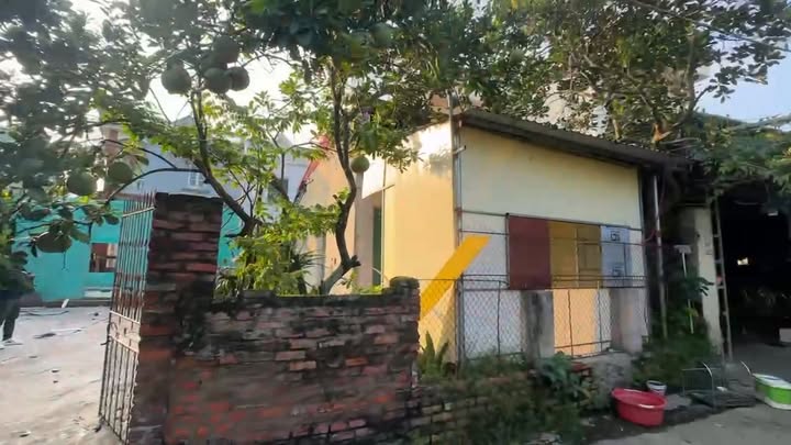 Đất nền Bình Xuyên 197m² giá 1.7 tỷ - Cơ hội đầu tư hấp dẫn!