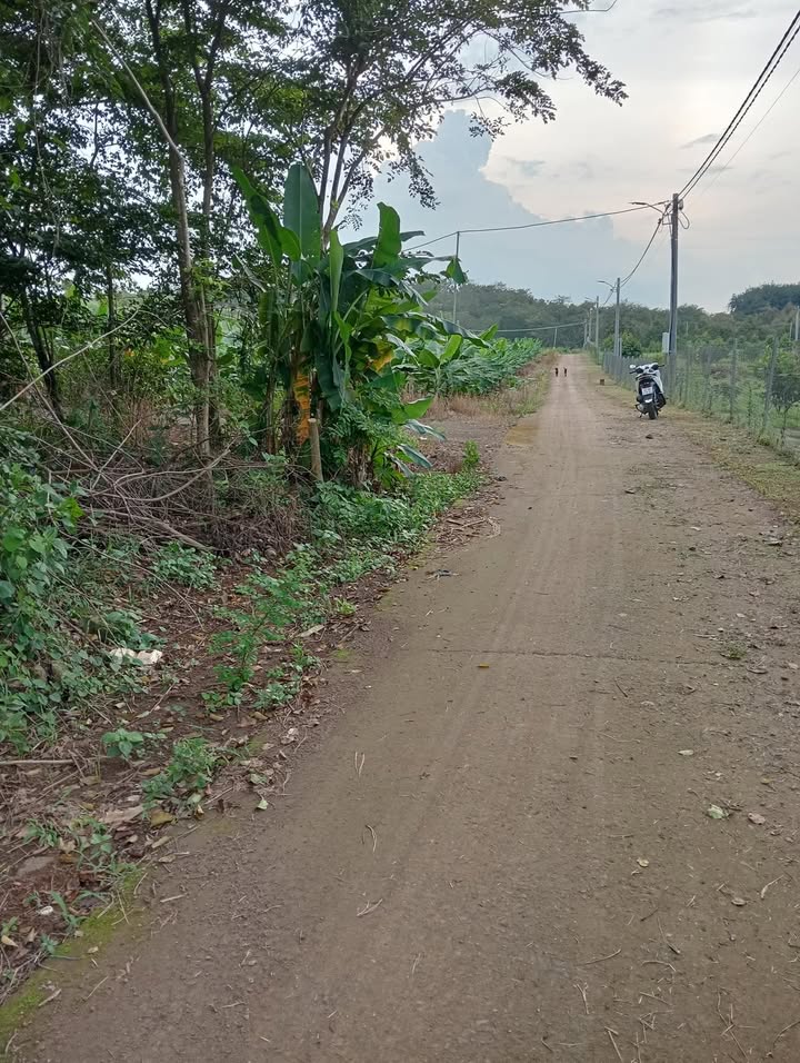 Đất vườn 1 mẫu 3 Hàng Gòn, Long Khánh giá 7.8 tỷ - Đầu tư sinh lời tốt!