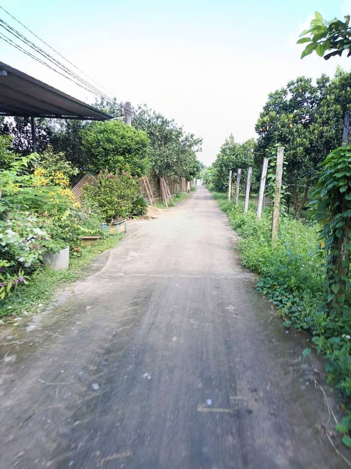 Nhà vườn tại Bình Lợi, Vĩnh Cửu 1.370m² giá 2.5 tỷ - Sổ đỏ chính chủ!