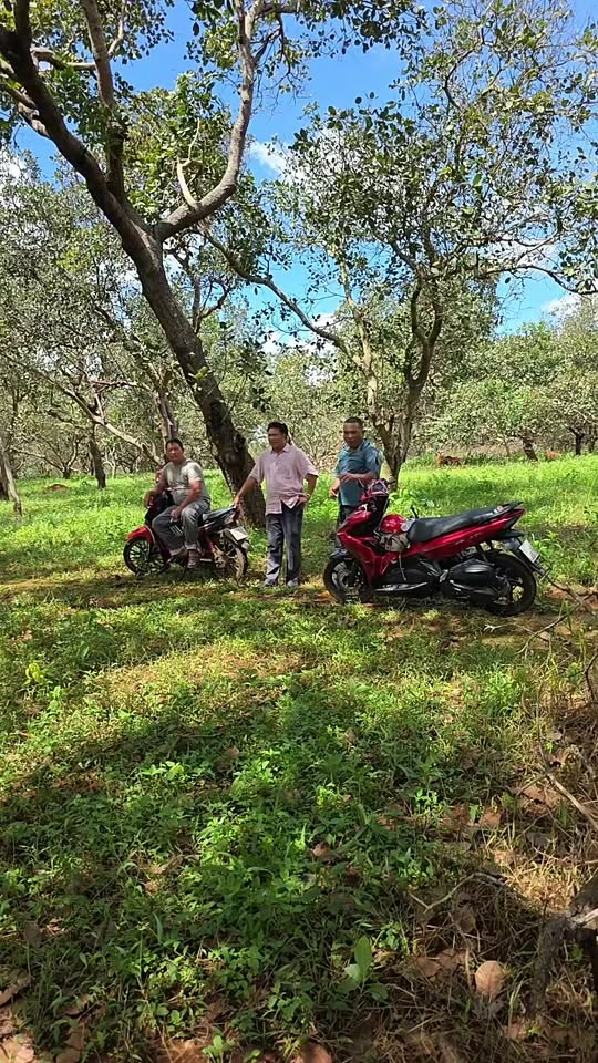 Đất nền nông nghiệp 2,2ha tại Thọ Sơn, Bù Đăng, giá chỉ 2,3 tỷ - Đầu tư sinh lời!