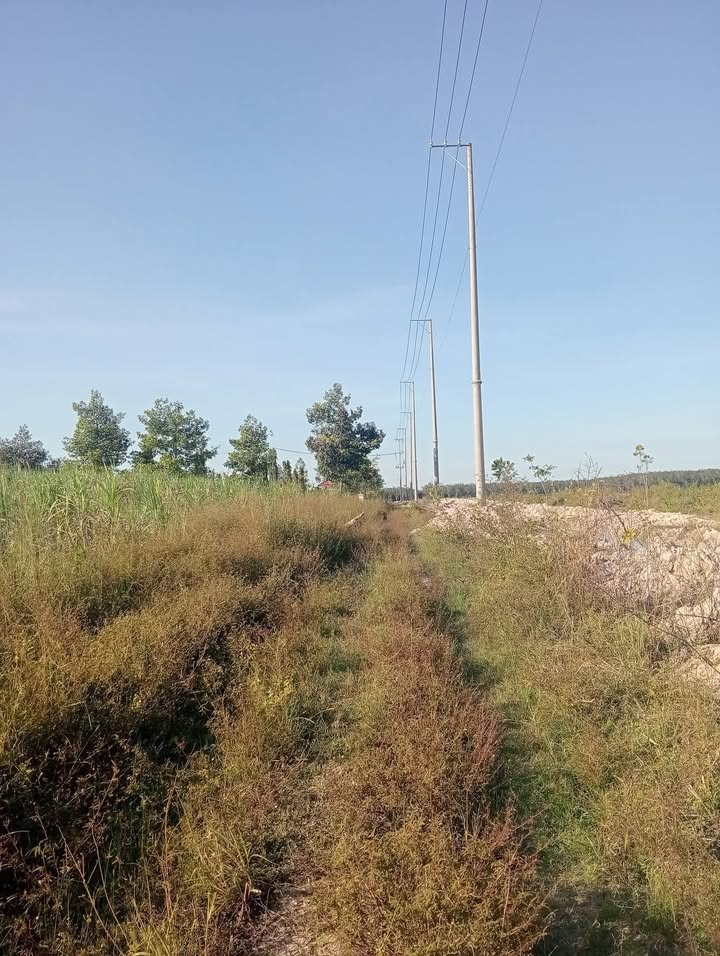 Đất Farm Suối Dây 1ha giá chỉ 5xx triệu - Cơ hội đầu tư tuyệt vời!