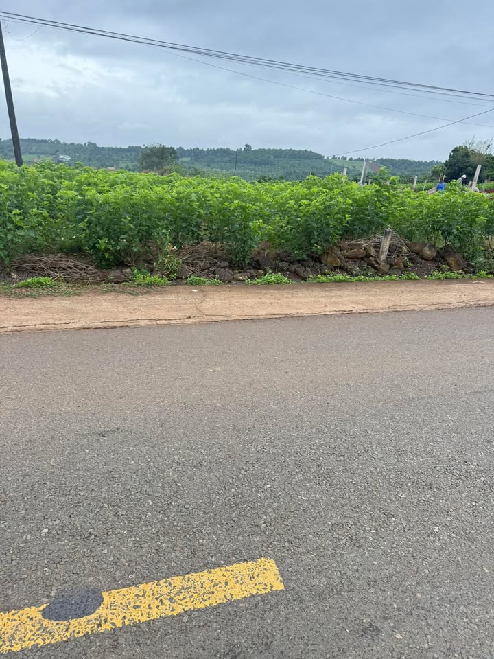 Đất nền Tân Hà 2000m² giá 5.5 tỷ - Mặt tiền đường nhựa 20m