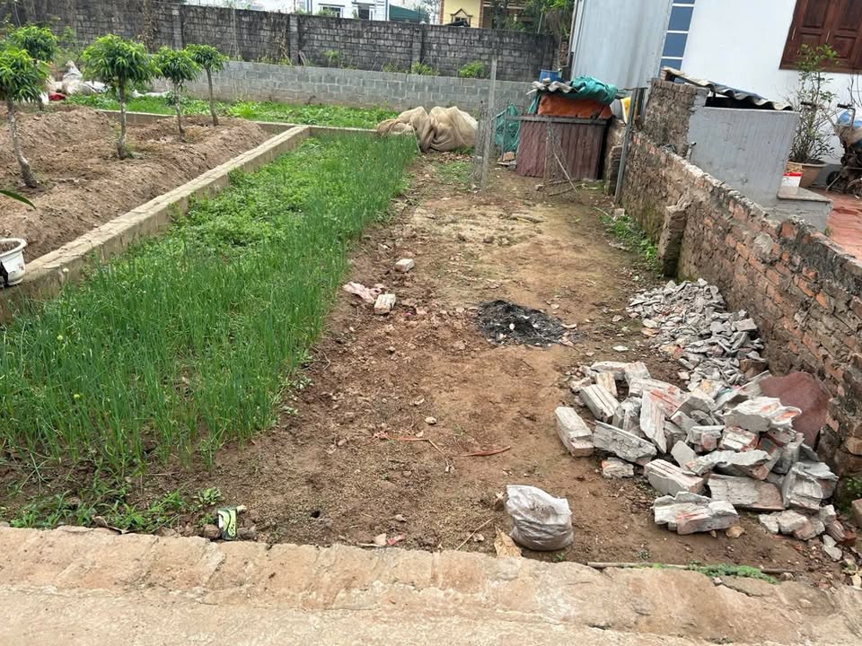 Đất nền thôn Đông Thái, xã Vân Tảo, 40m² giá 2.6 tỷ - Đầu tư sinh lời ngay!