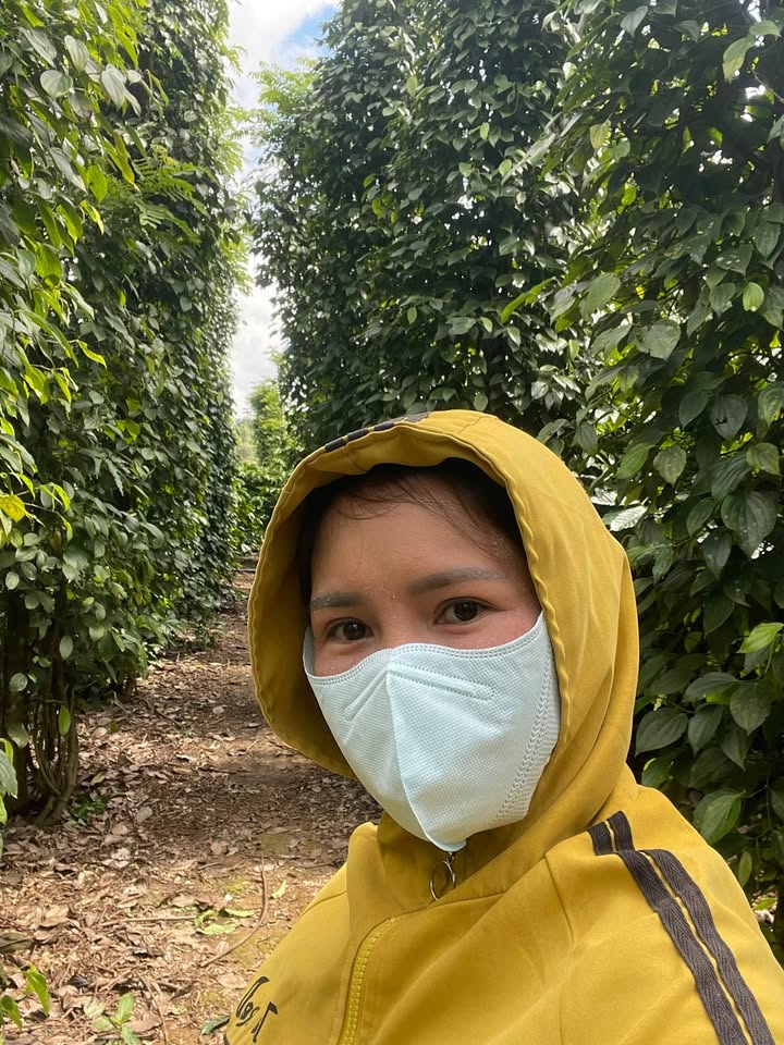 Farm 8.000m² tại Nam Đà, Đắk Nông giá 2.5 tỷ - Đầu tư sinh lời ngay!