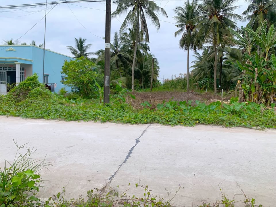 Đất nền 3/2 nối dài Châu Thành 2175m² giá 1 tỷ - Tiềm năng đầu tư lớn!