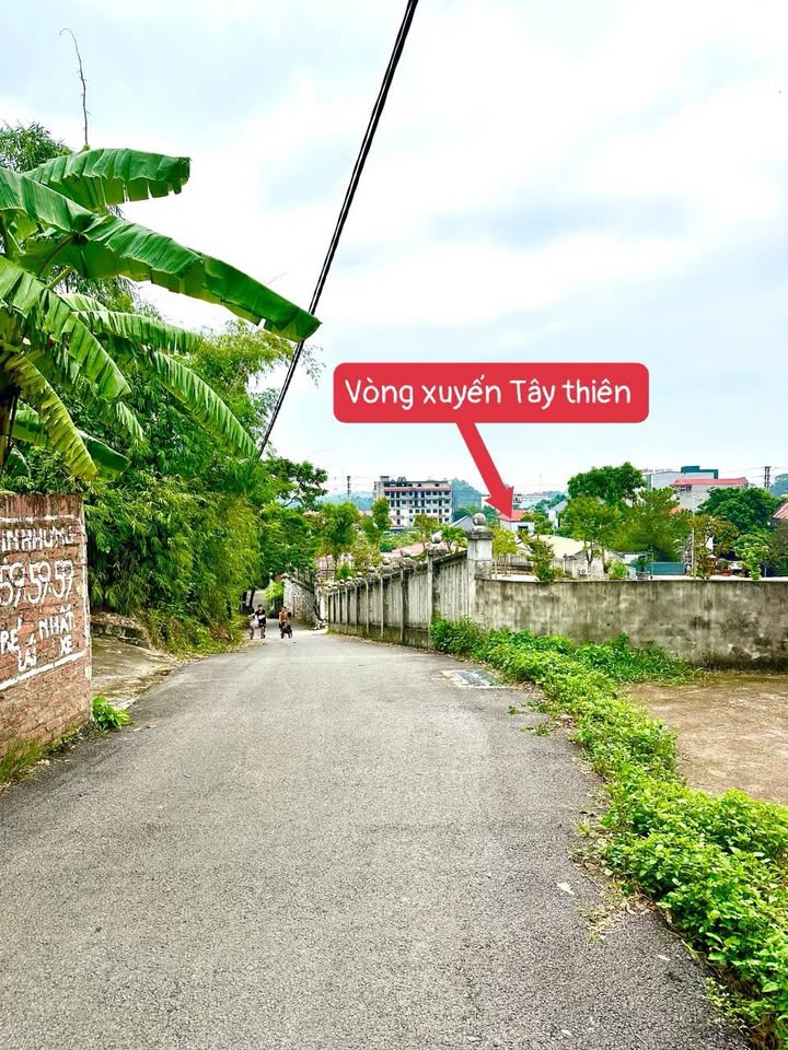 Đất nền Đại Đình Tam Đảo 127m² giá 800 triệu - Cơ hội sở hữu tuyệt vời!