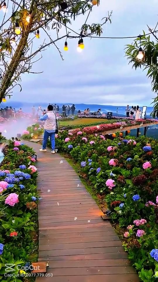 Đất thổ cư đẹp thôn 1, xã Trà Đa, Pleiku 380m² chỉ 165 triệu - Sổ đỏ chính chủ!