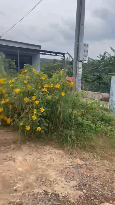 Đất nền Phú Lộc, Krông Năng 288m² giá 3.312 tỷ - Mặt tiền đường nhựa rộng rãi!