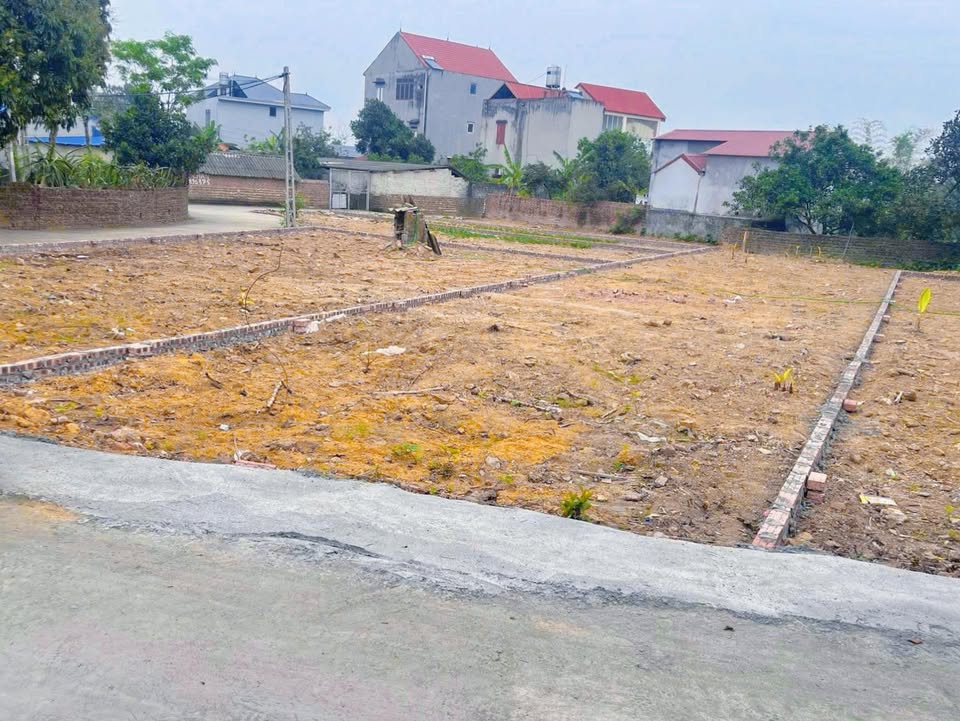 Đất lô góc Phú Thuận, Hiệp Hòa 200m² chỉ 800 triệu - Cơ hội đầu tư hiếm có!