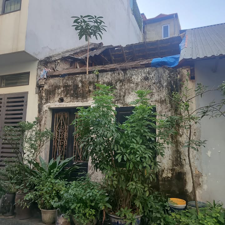 Đất nền Ngọc Thụy Long Biên 50m² giá 7.1 tỷ - Ô tô tránh, vị trí đẹp!