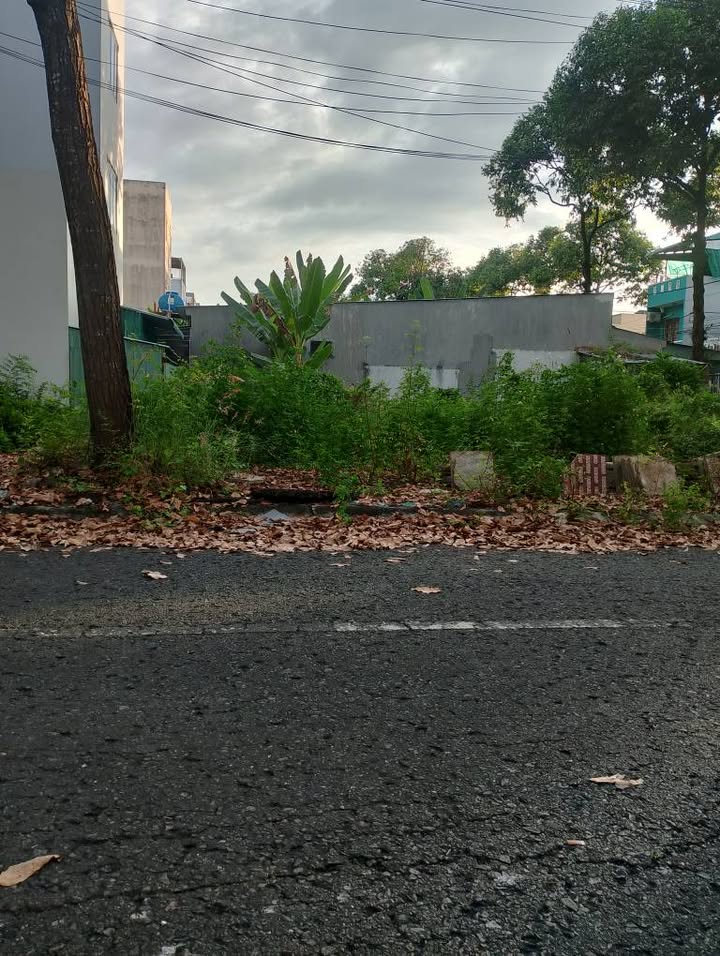 Đất nền liền kề đường số 6, phường 5, Tân An - Diện tích 128m², giá chỉ 2.7 tỷ